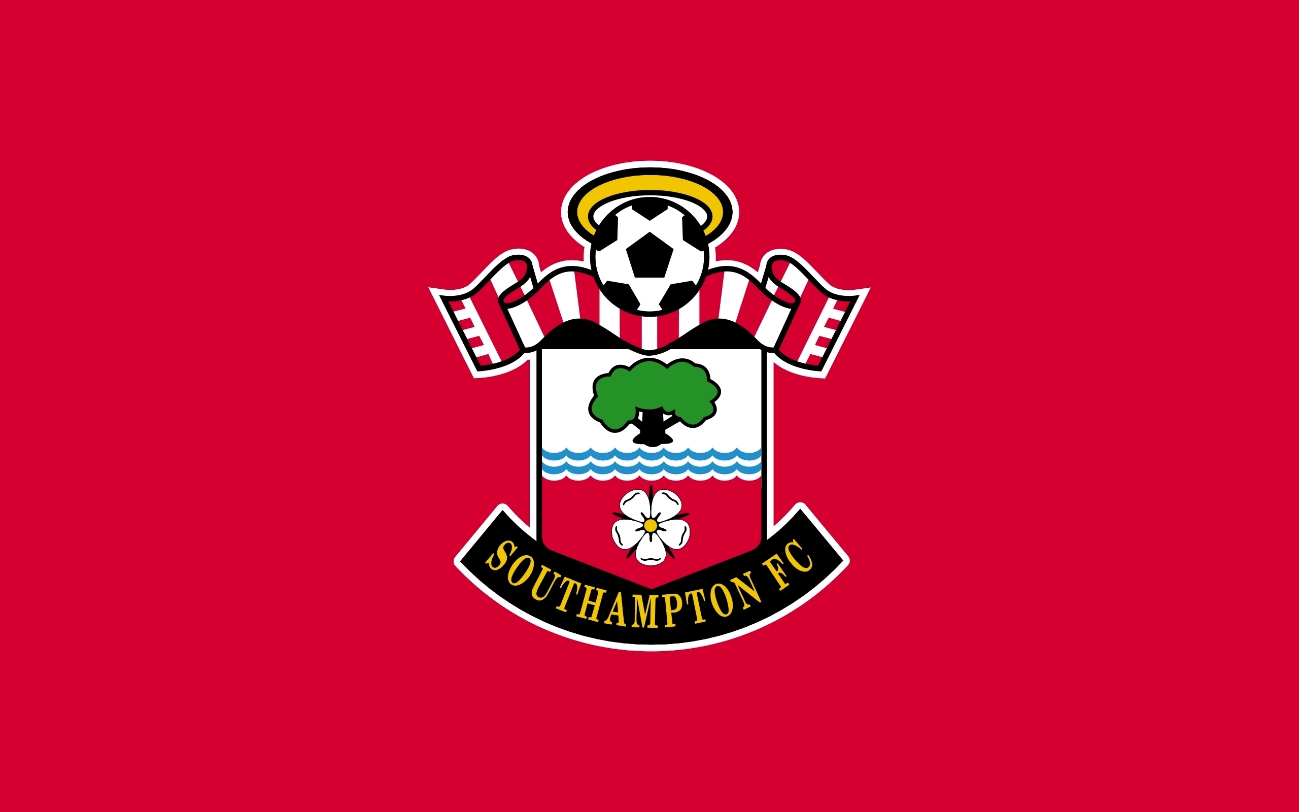 Southhampton FC Primary logo t shirt iron on transfers